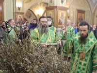 В праздник Входа Господня в Иерусалим Глава епархии совершил Литургию в Кафедральном соборе