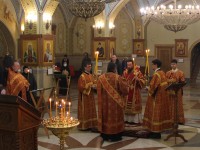 Архиепископ Феодор совершил Параклисис Пресвятой Богородице