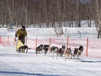 Миссия Петропавловской и Камчатской епархии в традиционной камчатской гонке на собачьих упряжках «Берингия 2017»