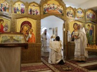 Управляющий Камчатской епархией совершил Литургию в Морском соборе в день памяти святителя Луки Крымского