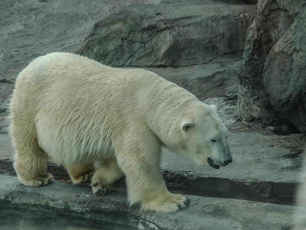 Каникулы - 2014-19
