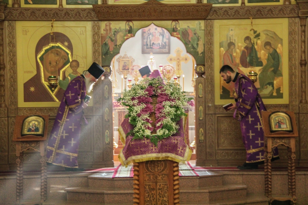 ass-4