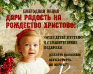 В Петропавловске проходит ежегодная акция «Дари радость на Рождество Христово»