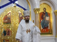 Рождественское послание Архиепископа Петропавловского и Камчатского Феодора