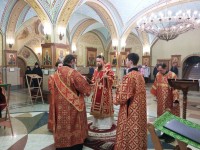 Архиепископ Феодор совершил Параклисис Пресвятой Богородицы Пасхальным чином