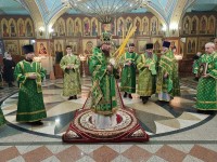 В праздник Входа Господня в Иерусалим архиепископ Феодор совершил Литургию в Троицком кафедральном соборе